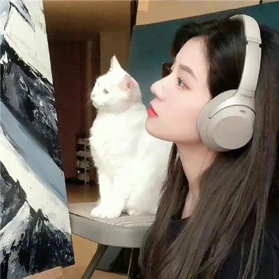 上车家族粤语